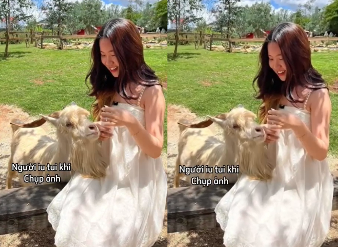 Clip sex em tiểu thư giàu tự quay